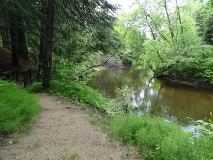Carp River Campground
