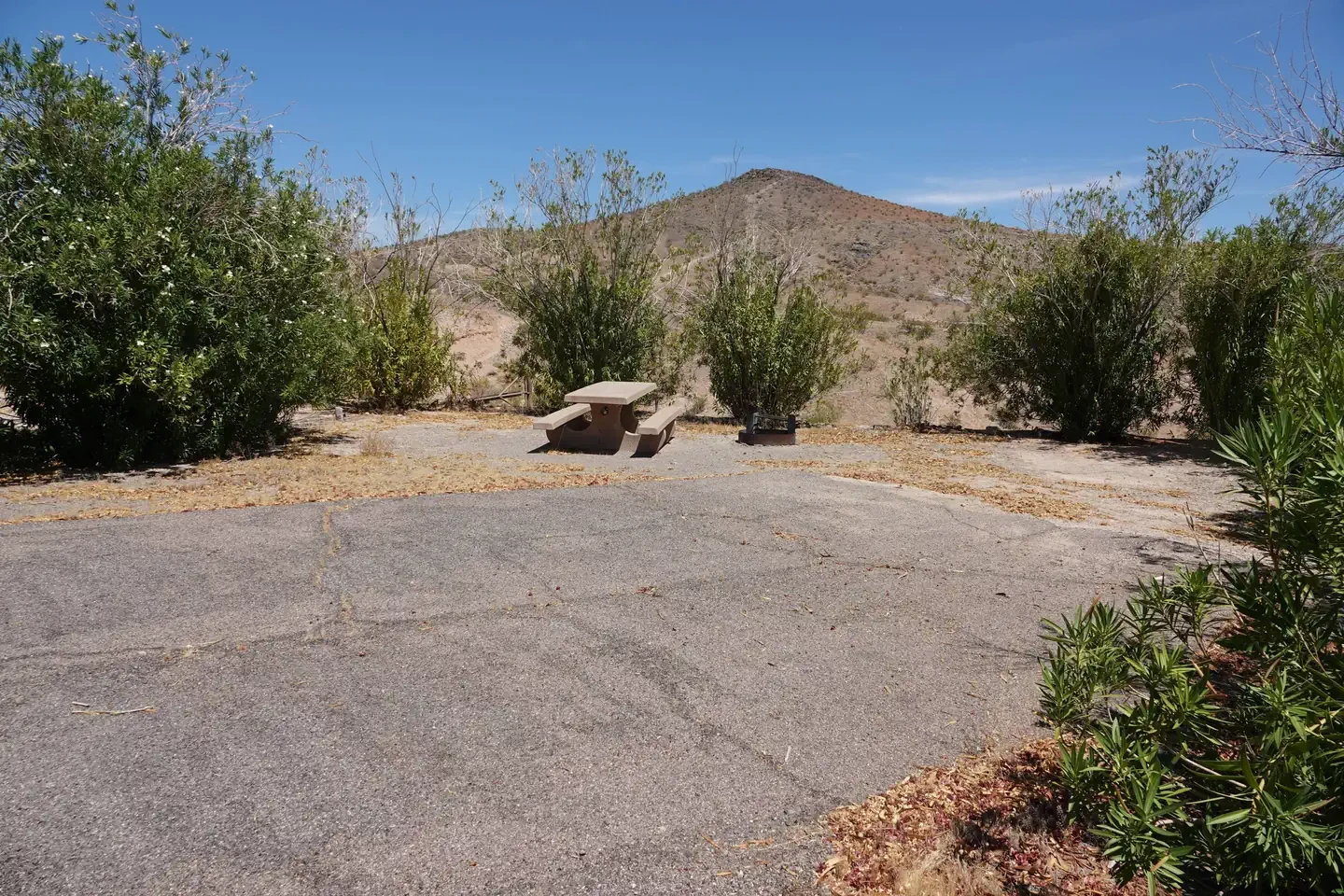 Site 42