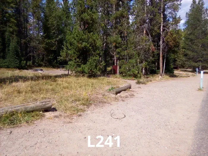 241
