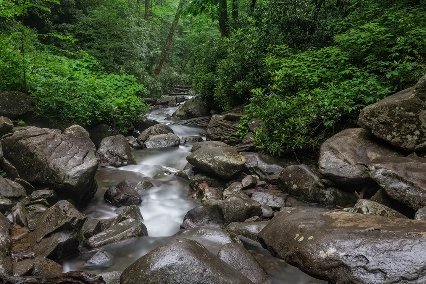 Great Smoky Mountains National Park