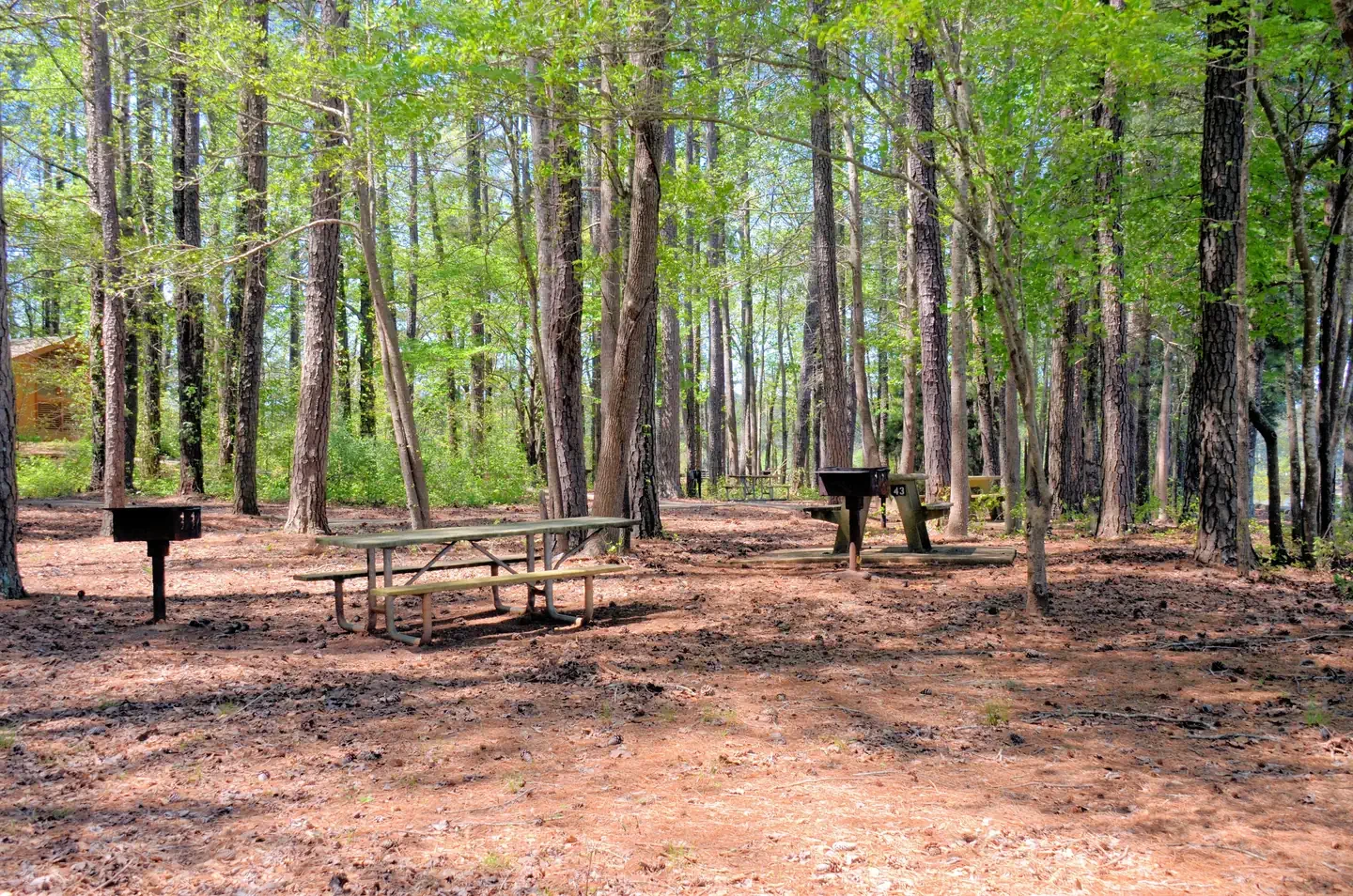 Galt'S Ferry Day Use Area (ga)