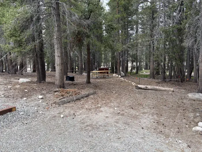 A037