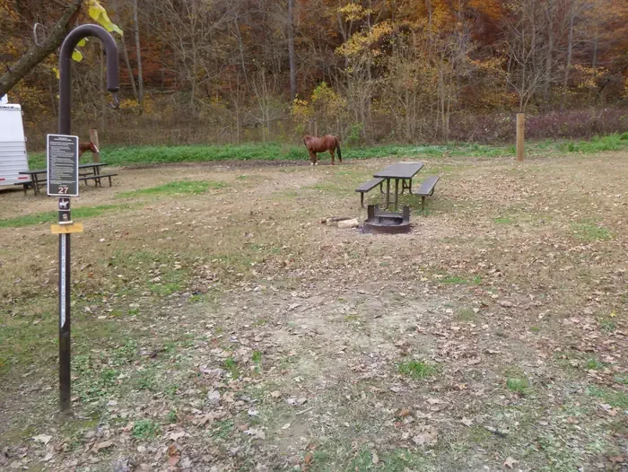 27 - Horse Site