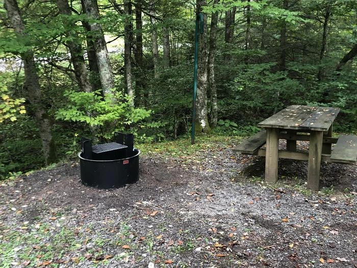 Williams River Campsites
