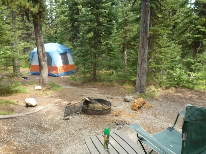 Lewis Lake site #7