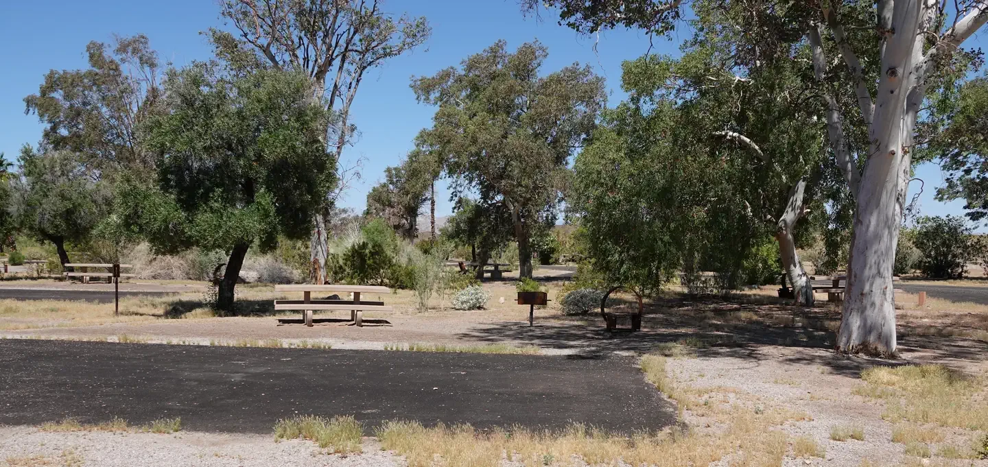 Site 11
