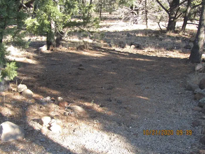 Pinon Groupsite B