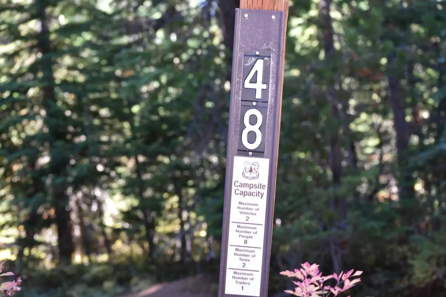 48