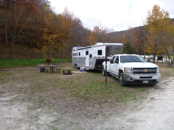 29 - Horse Site