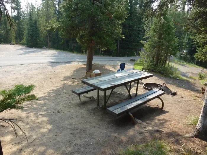 Lewis Lake site #72