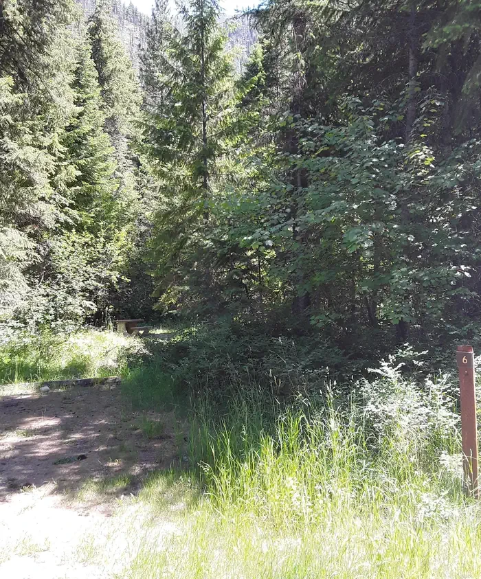 Trout Creek Campground (MT)