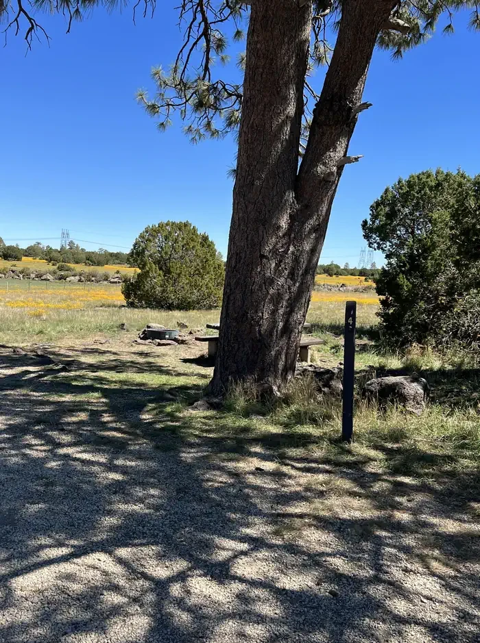 Forked Pine Campground