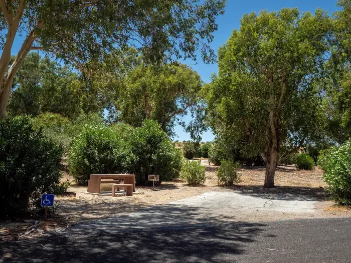 Site 6