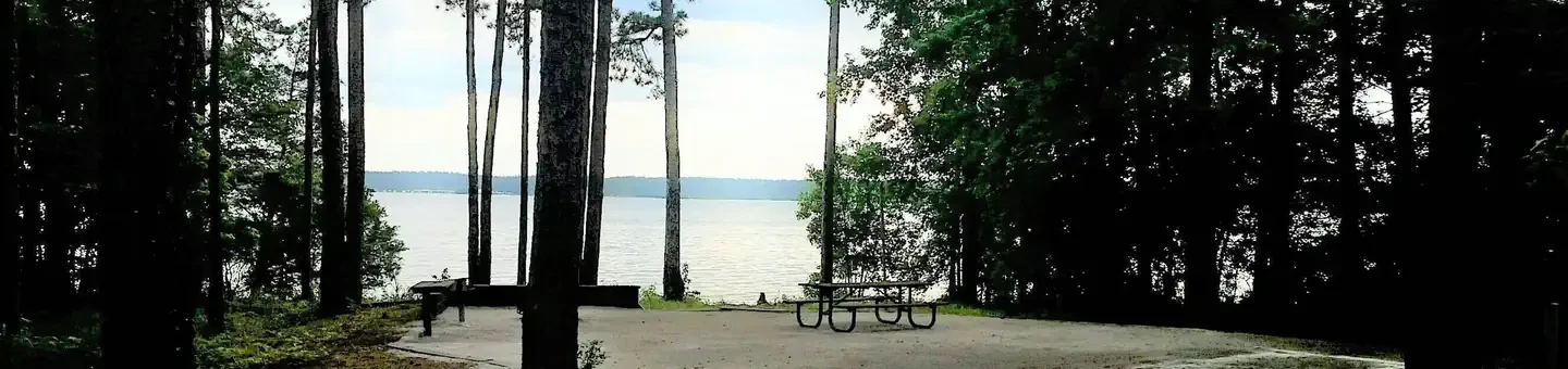 017