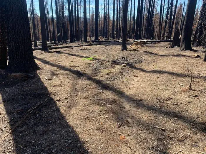 Lassen Volcanic National Park Wilderness Permits