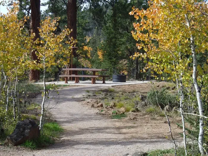 Duck Creek
