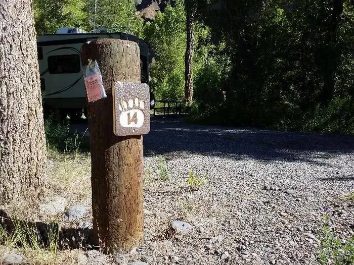 14