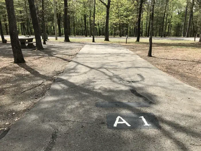 A01