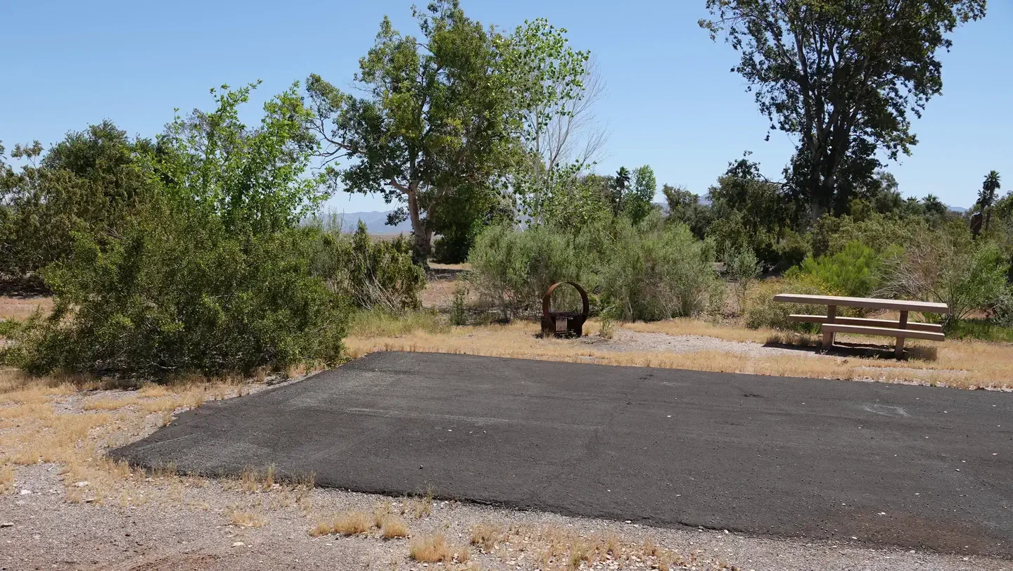 Site 7