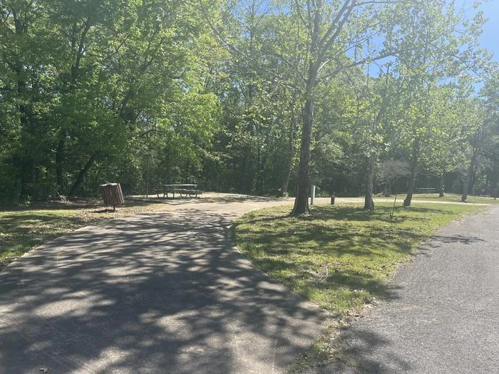 Site 5