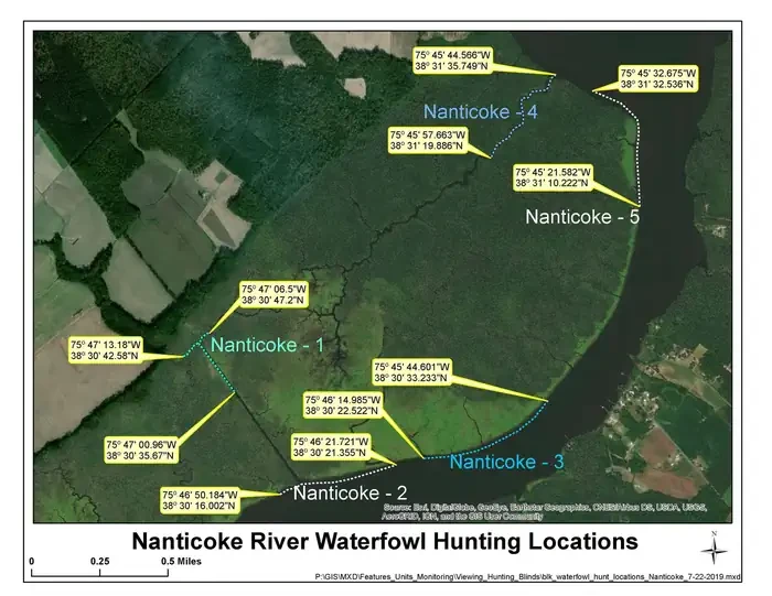 Blackwater National Wildlife Refuge Waterfowl Hunt Permits