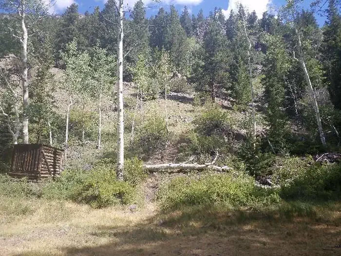 Dawson Cabin