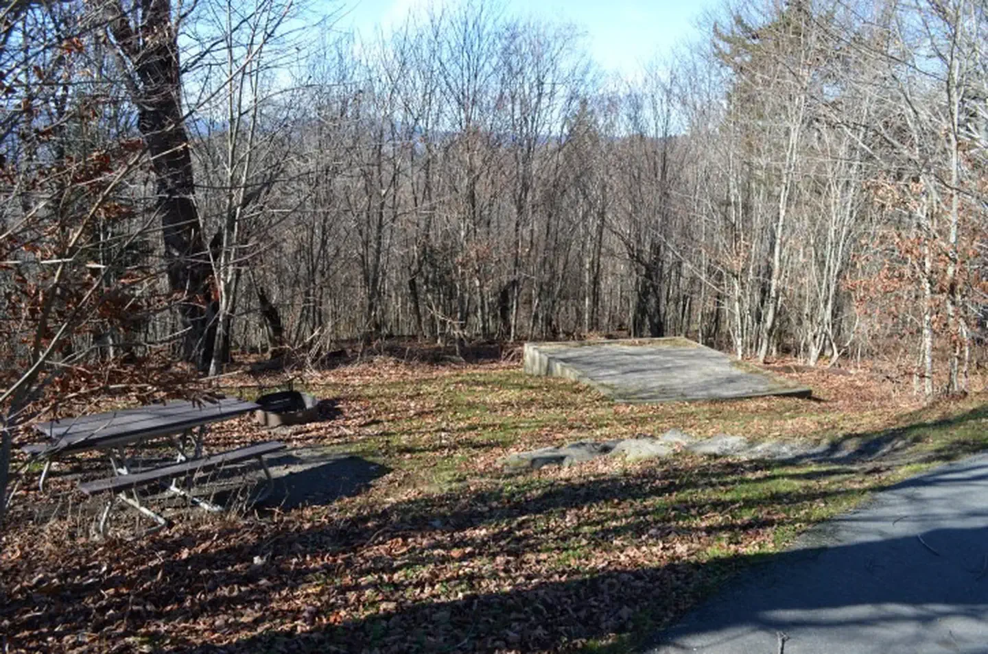 43