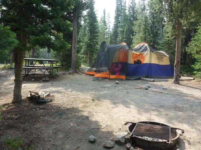Lewis Lake site #59