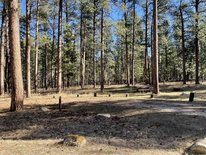 Bearlodge Campground