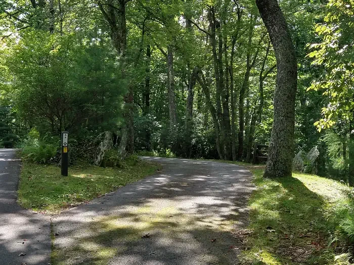 A09