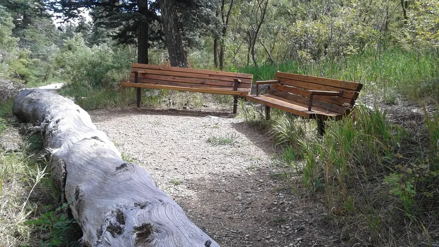 Capulin Spring Picnic Site