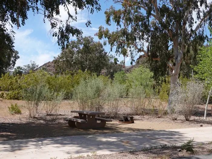 Site 21
