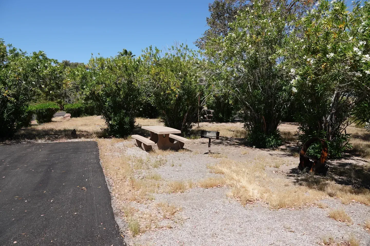 Site 25