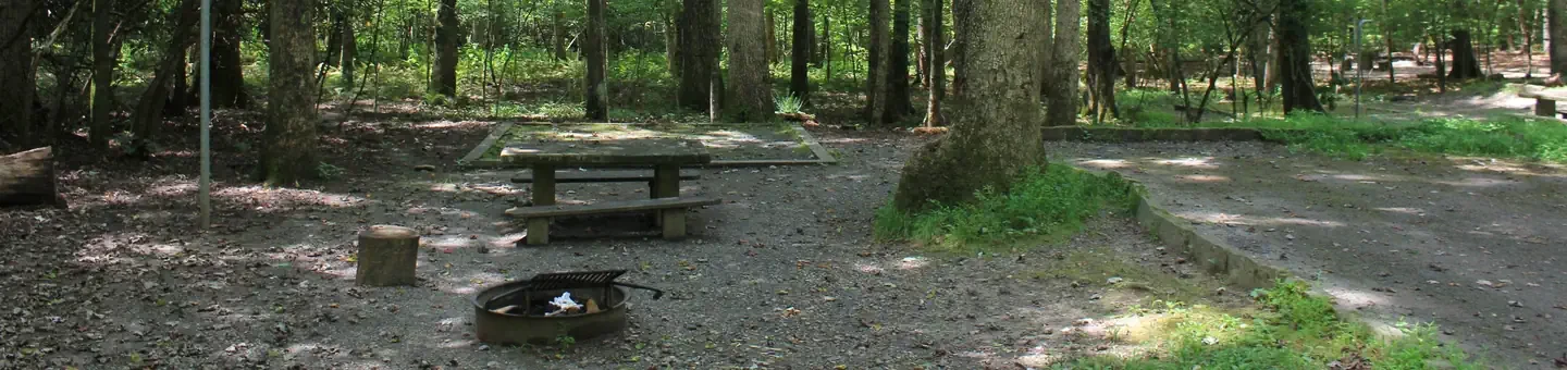 B46