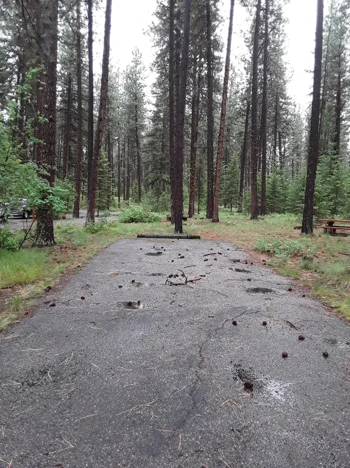 Quartz Flat Campground (MT)
