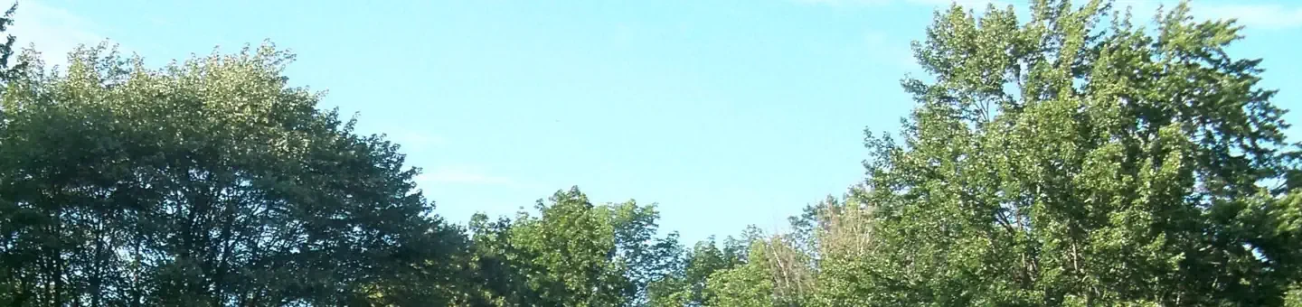 M10