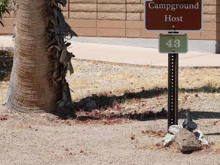 Site 43