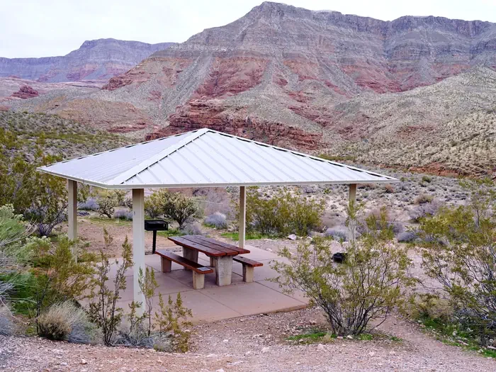 Virgin River Canyon Recreation Area