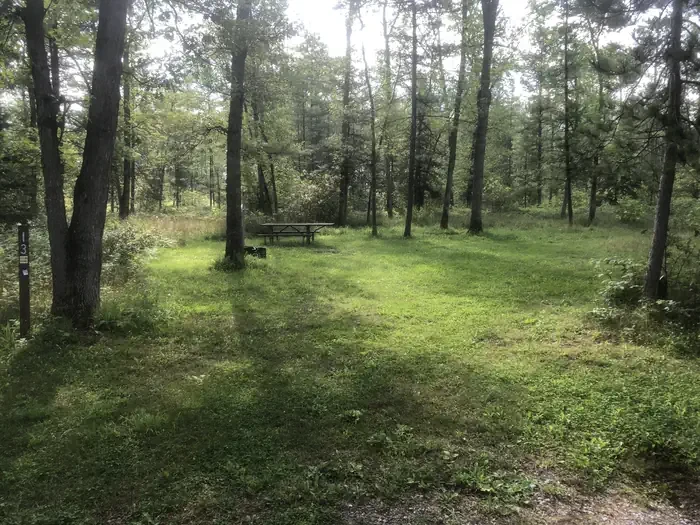 South Branch Trail Camp Group Site