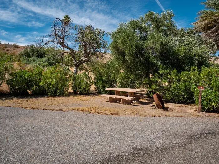EB Site 31