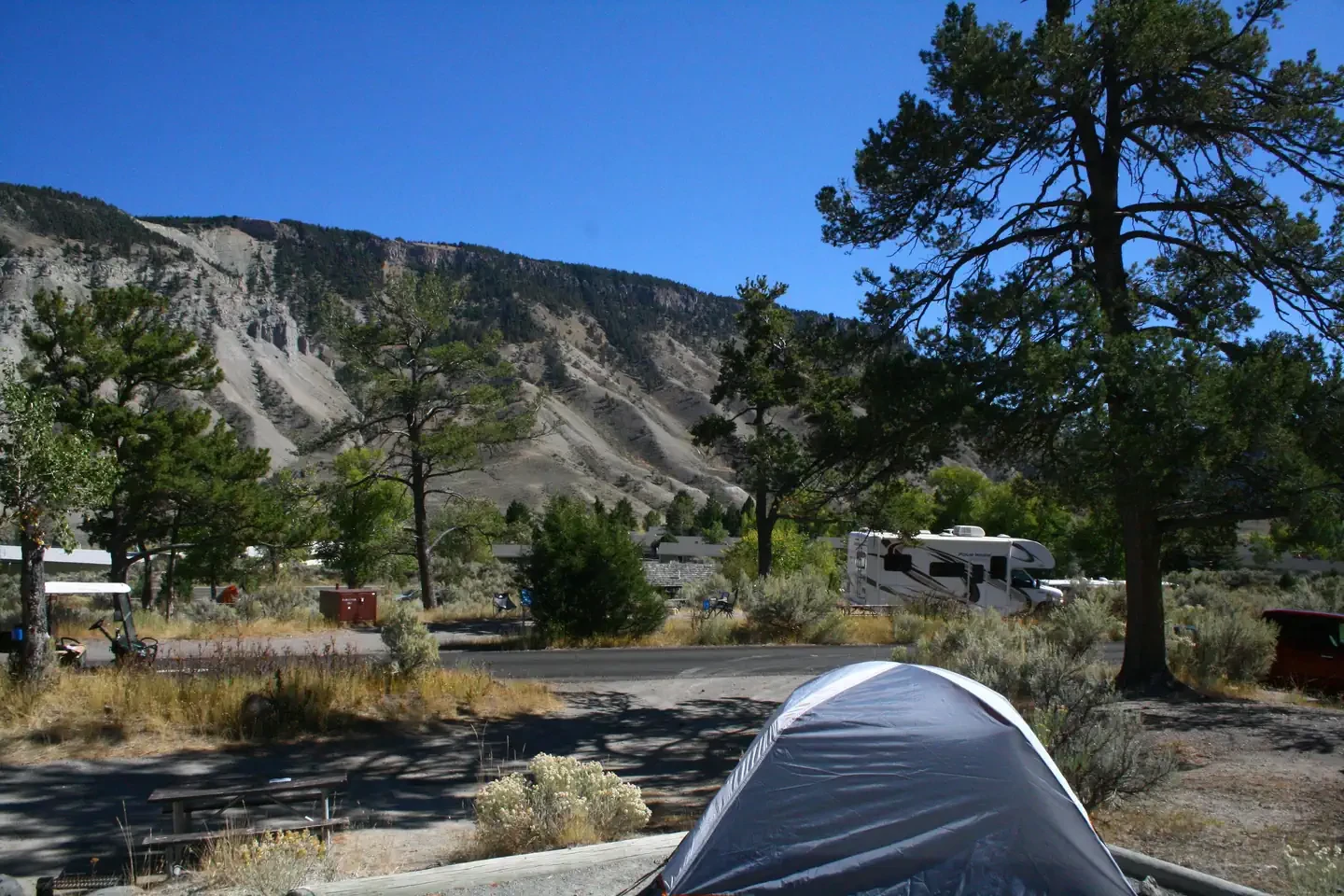 Mammoth site #82