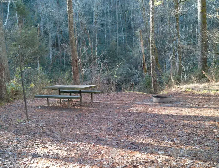 West Fork Campground (Clayton, GA)