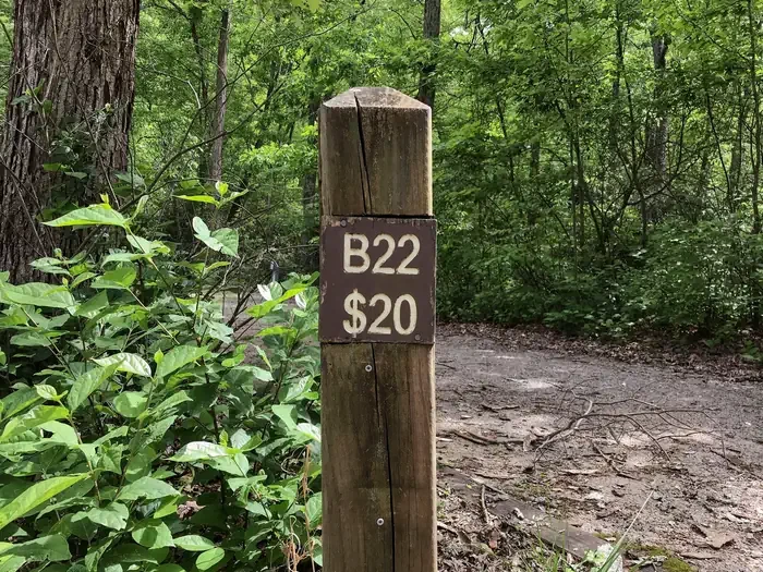 22
