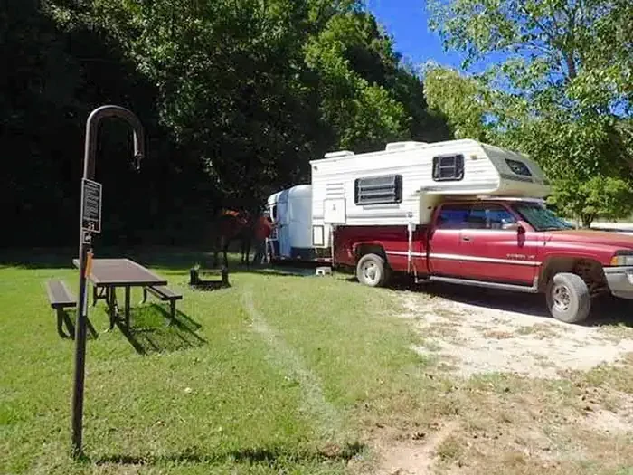 31 - Horse Site