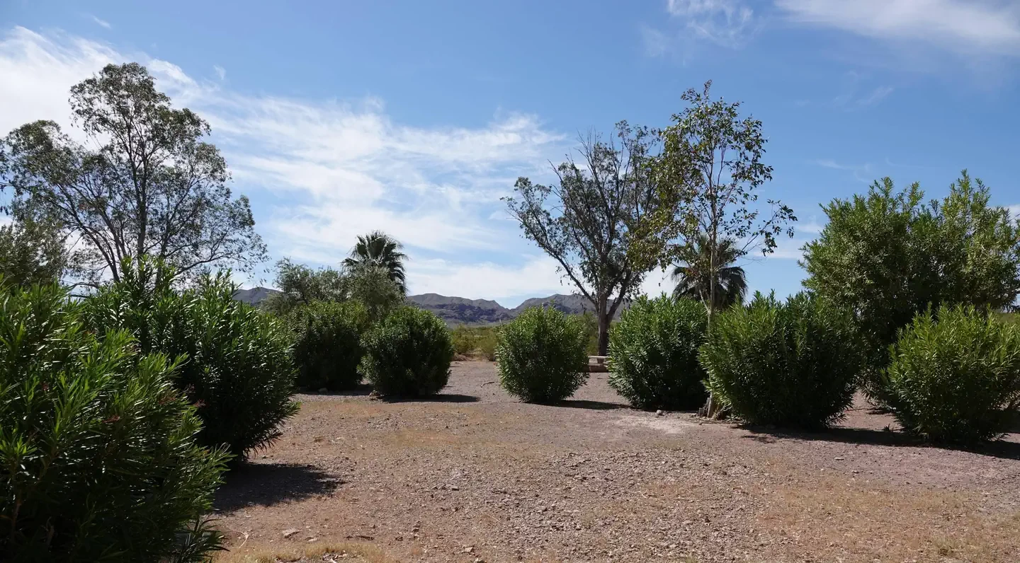 Group Site 1