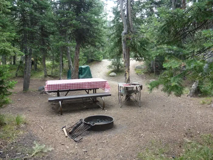 Lewis Lake site #18