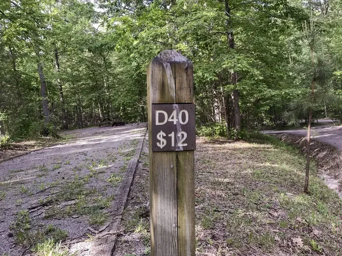 40