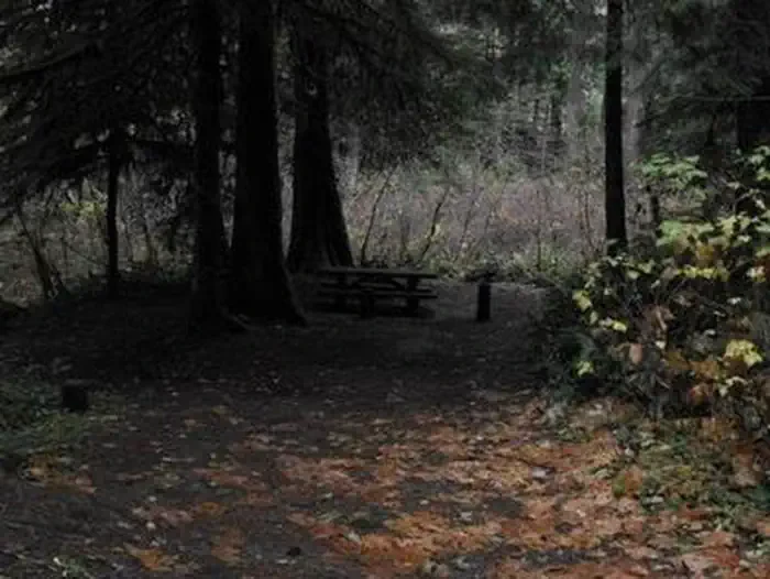 Limberlost Campground