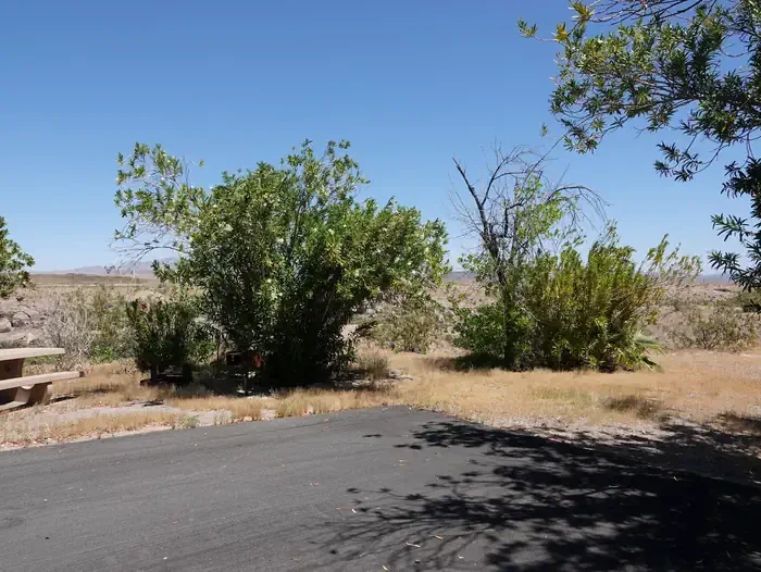Site 40