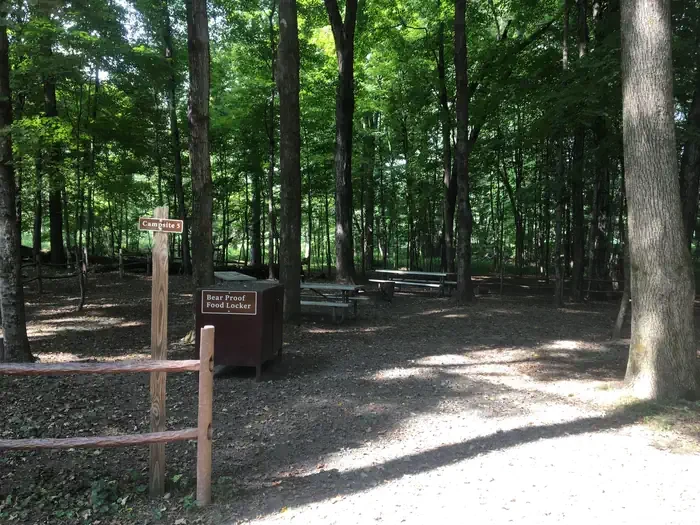 Site #5